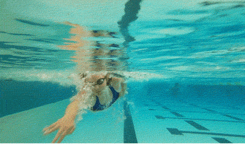 natacion en Merida_actividades deportivas para niños